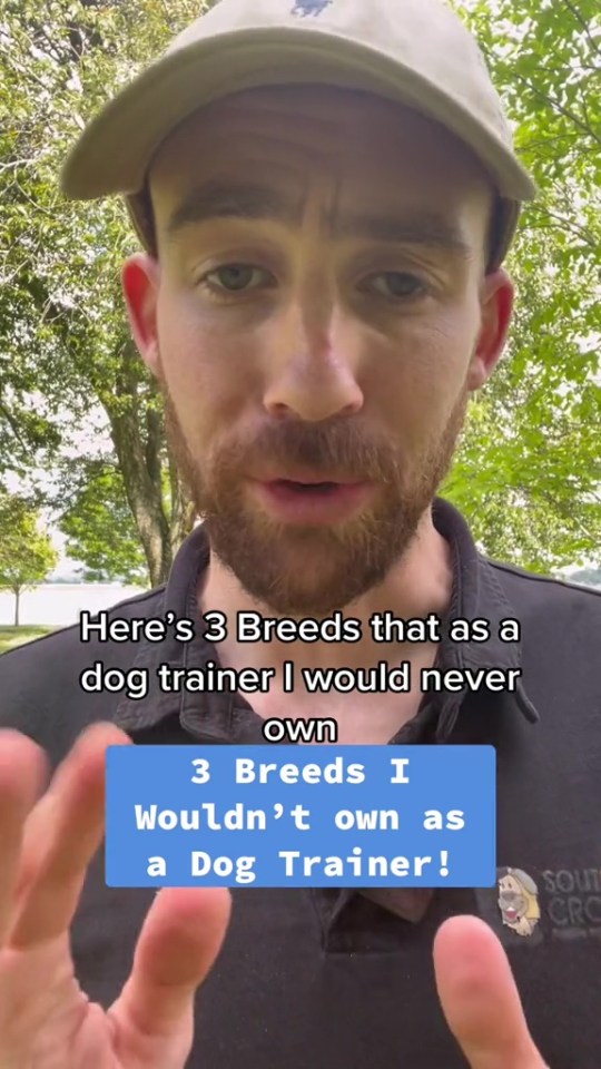 Jamie revealed the top three dog breeds he would never own