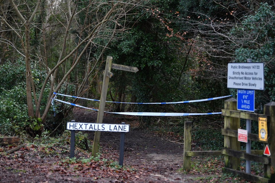 A 28-year old woman in Caterham, Surrey was mauled to death in a ferocious dog attack yesterday