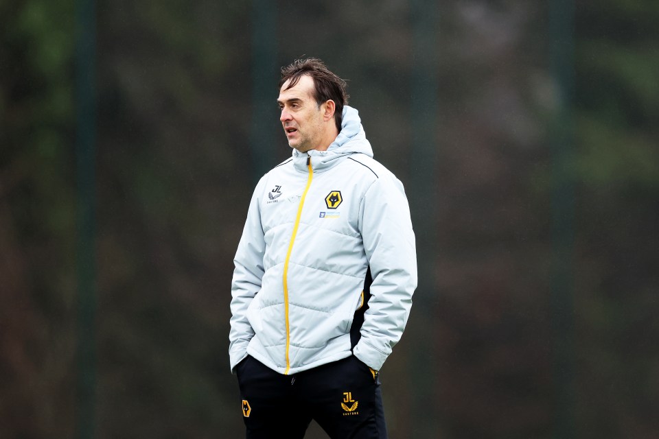 Wolves boss Julen Lopetegui is hoping to sign three players in January