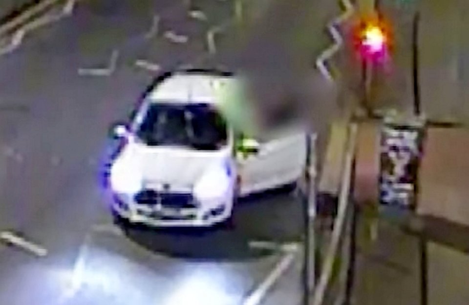 Chilling CCTV shows the victim being lured into Woldeab's car