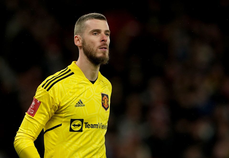 Manchester United star David De Gea will have to accept a major pay cut to stay