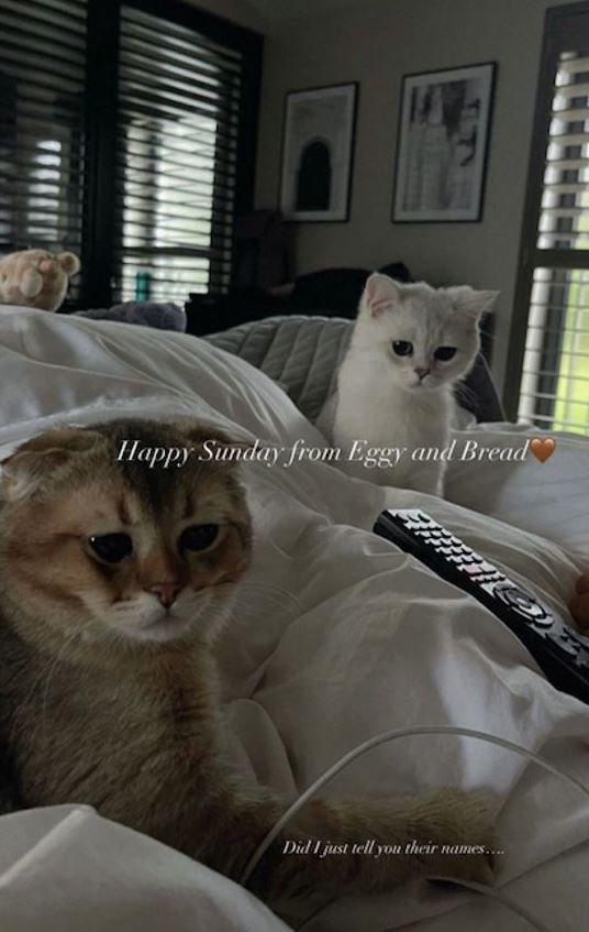 Her cats Eggy and Bread were heard crying in the background of her recent video