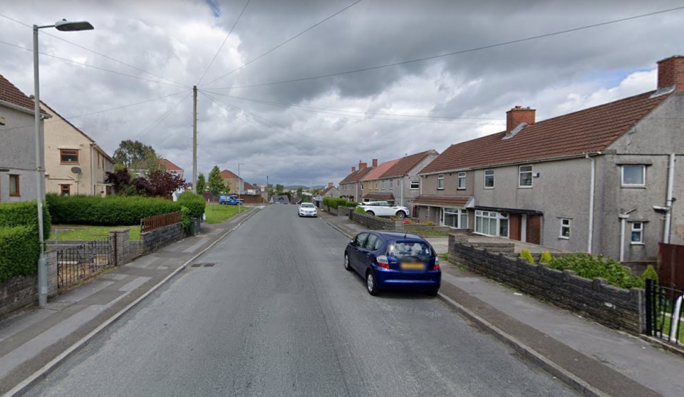 The kidnap unfolded in Crwys Terrace in Penlan