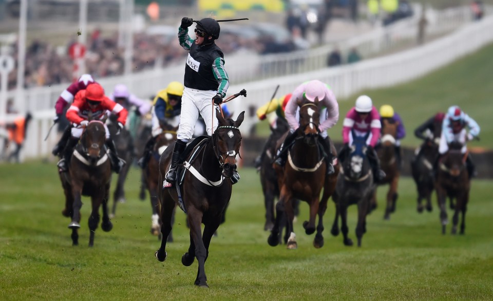 Altior set an amazing record of 19 consecutive wins