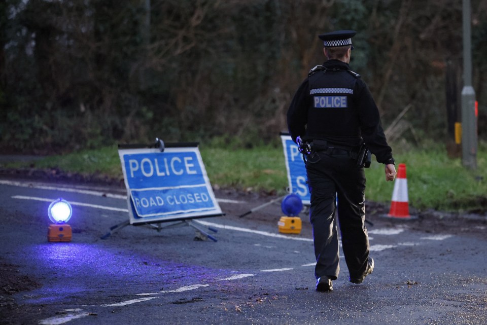 The animal attacked members of the public at around 2.45pm