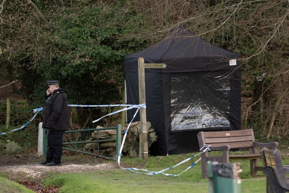 Police at the scene in Surrey, where the dog walker was mauled to death by eight pets she was walking