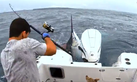 It landed on the stern before falling back into the water