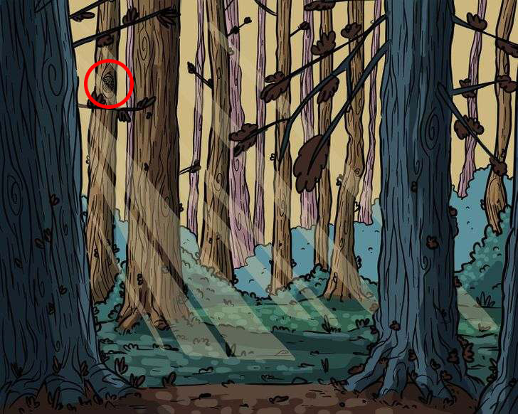 Circled in red is where the owl can be found