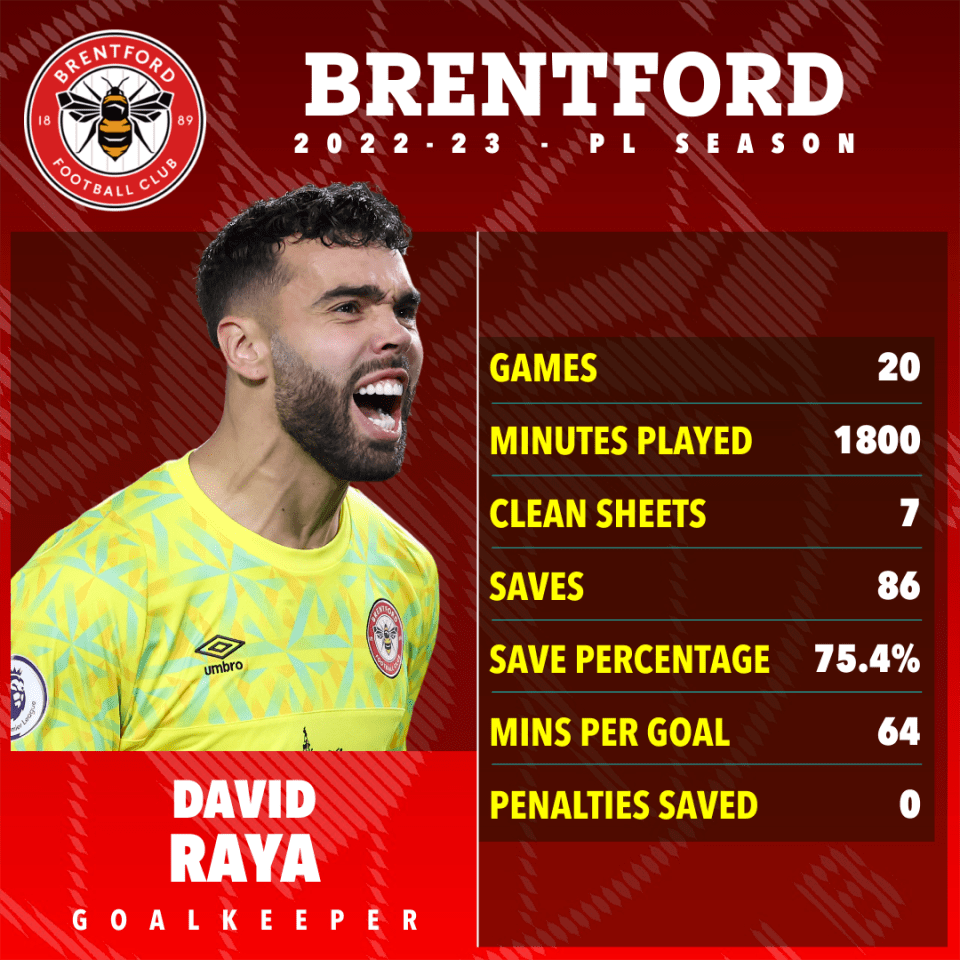 David Raya has become a top keeper at Brentford