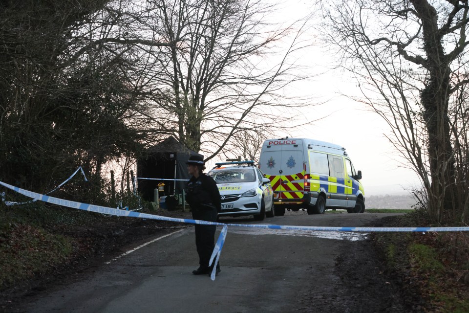 Cops were called to Caterham, Surrey, on January 12