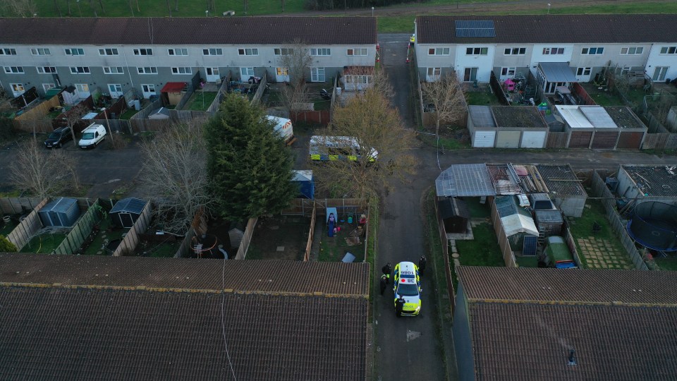 The child was attacked in her back garden