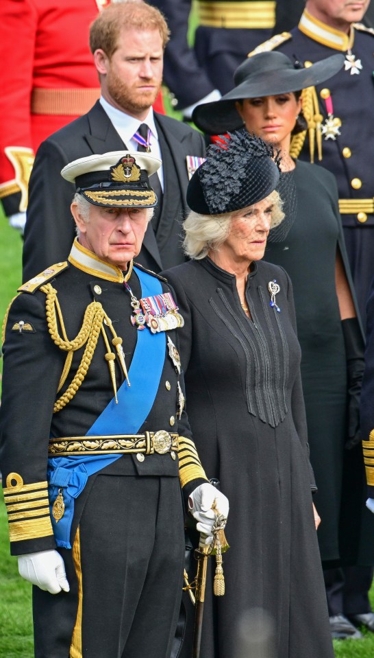 Harry says his family is unsafe in the UK despite armed royal protection for official events - pictured here with wife Meghan, King Charles and Camilla