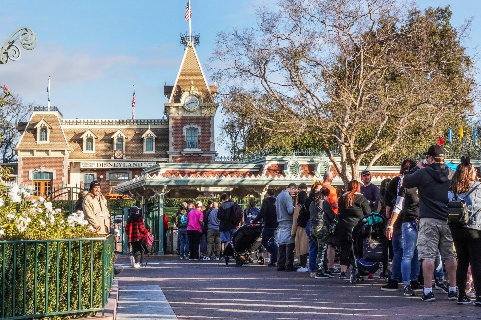 A Disney pro has revealed the big mistakes guests make