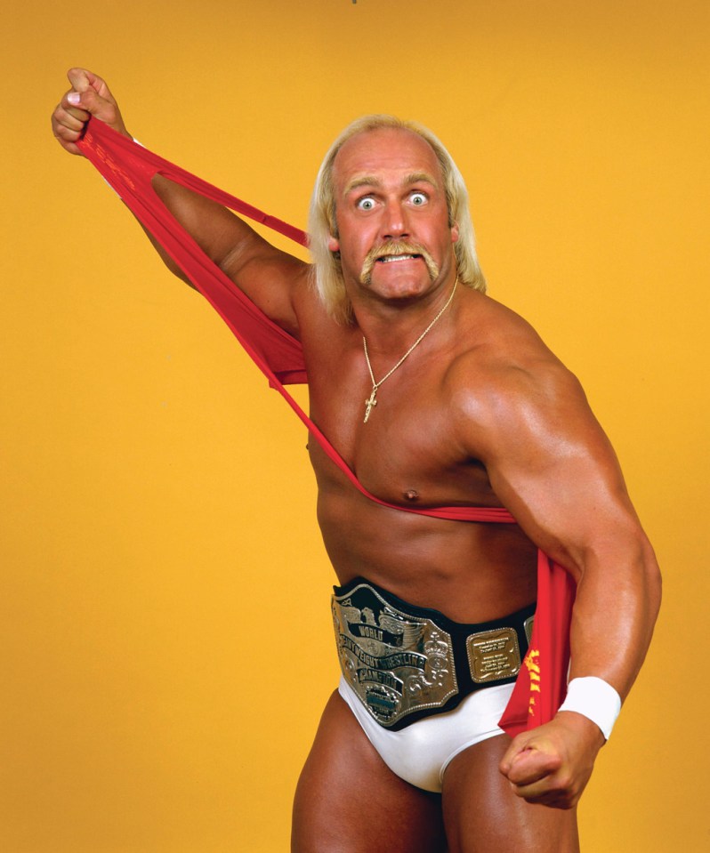 Hulk Hogan is one of the biggest stars ever in the wrestling business