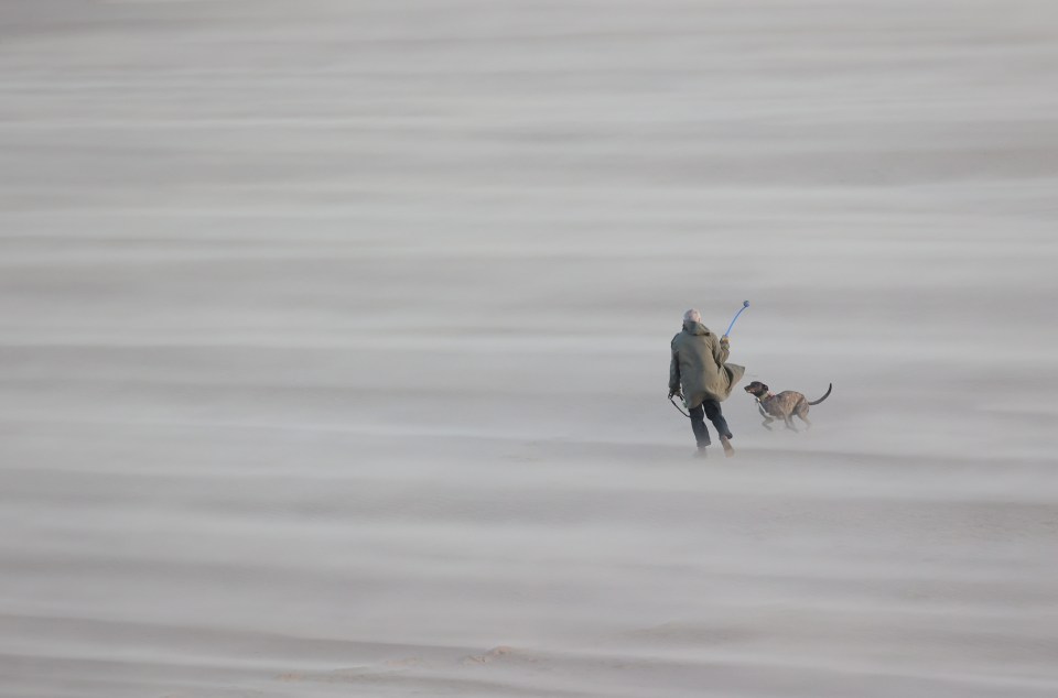 A dog walker battered by strong winds on Tynemouth beach during Storm Otto