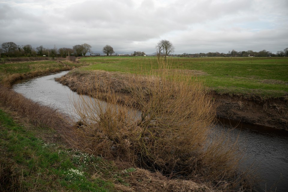 The former Met Police commander was speaking after a body was found yesterday