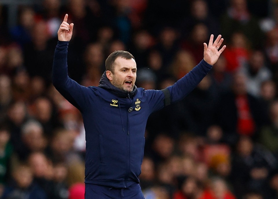 Nathan Jones has been sacked as Southampton boss