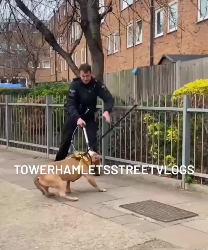 An officer fought to maintain control as the dog tried to break free