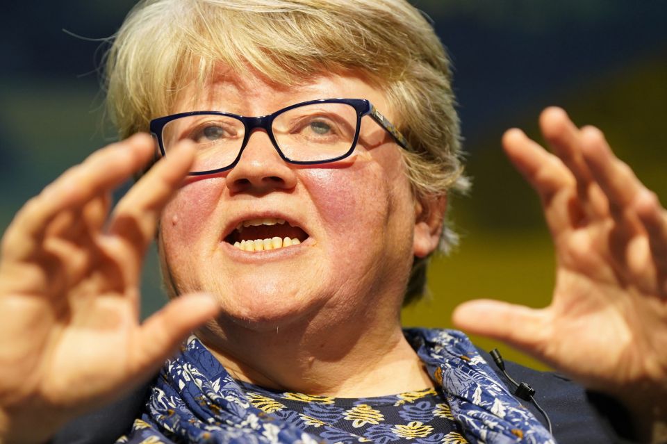 Therese Coffey has suggested Brits should eat turnips while there's a shortage of tomatoes