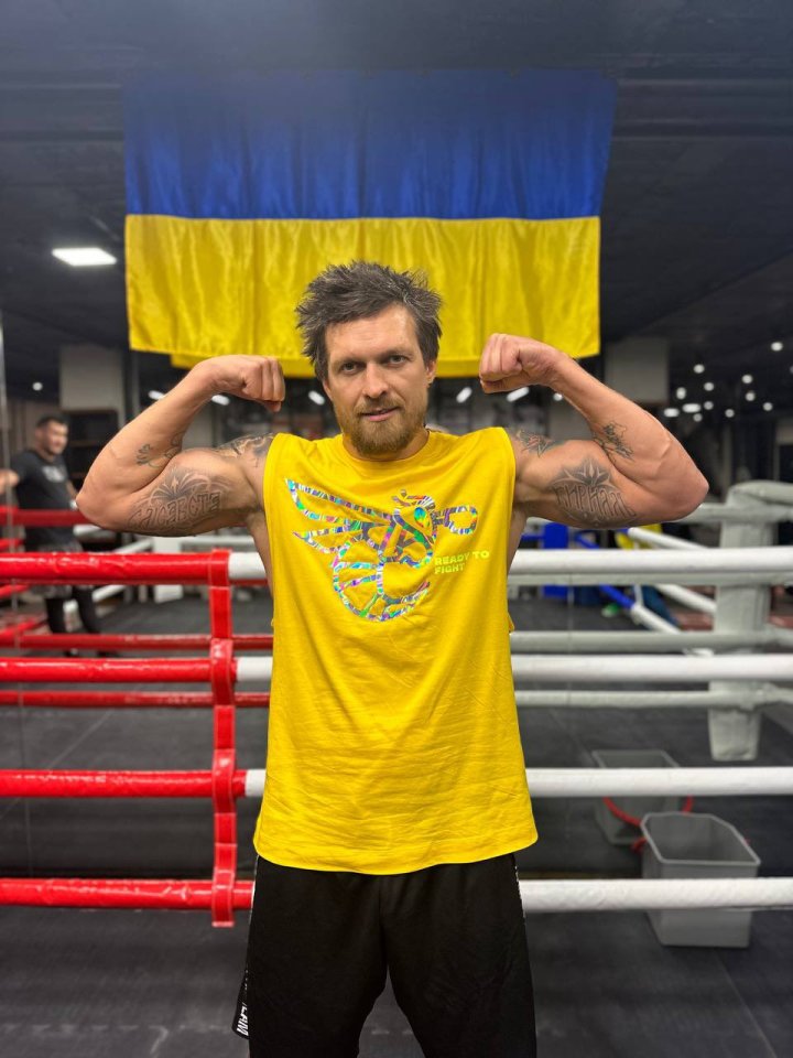 Oleksandr Usyk called out rival Tyson Fury on Twitter