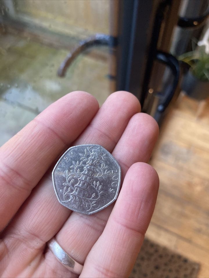 These days a 50p coin is barely enough to buy a Freddo, but this 2009 Kew Gardens edition could sell for £156