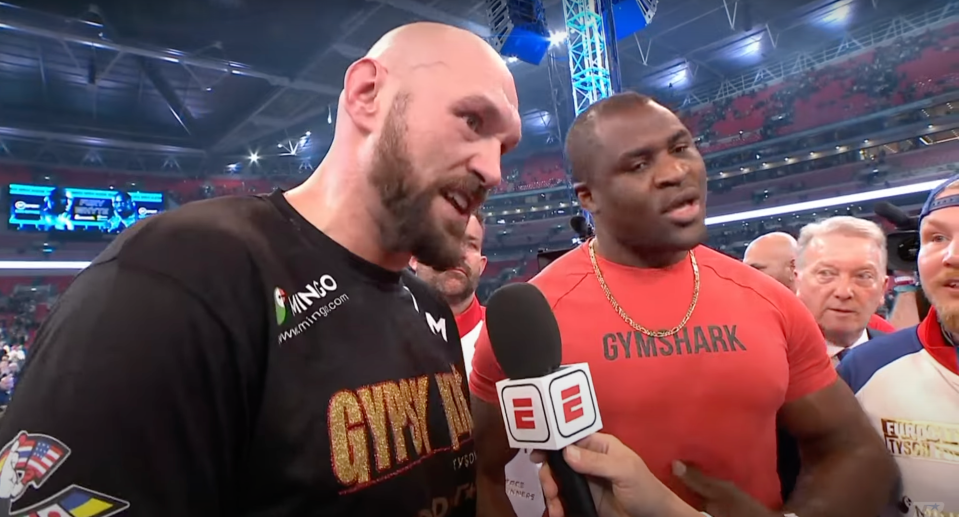 Tyson Fury called out Francis Ngannou for a hybrid boxing match last month