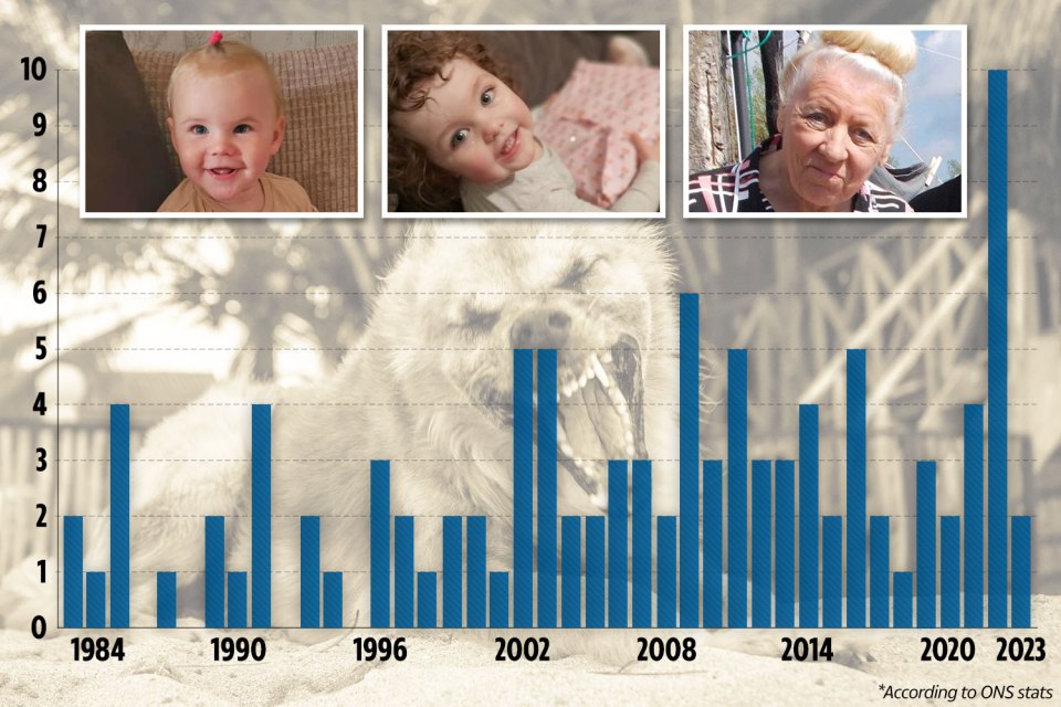 In 2022, a whopping ten attacks resulted in fatalities - meaning in the last twelve months 12 people have been killed