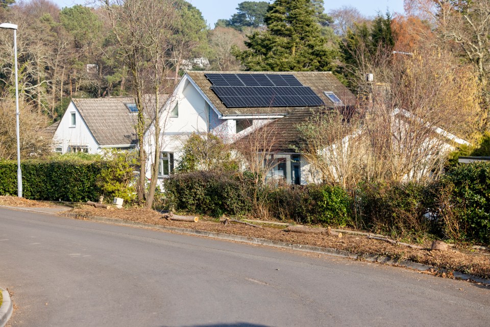 Residents said that the landscaped hedge was very attractive before the council got rid of it