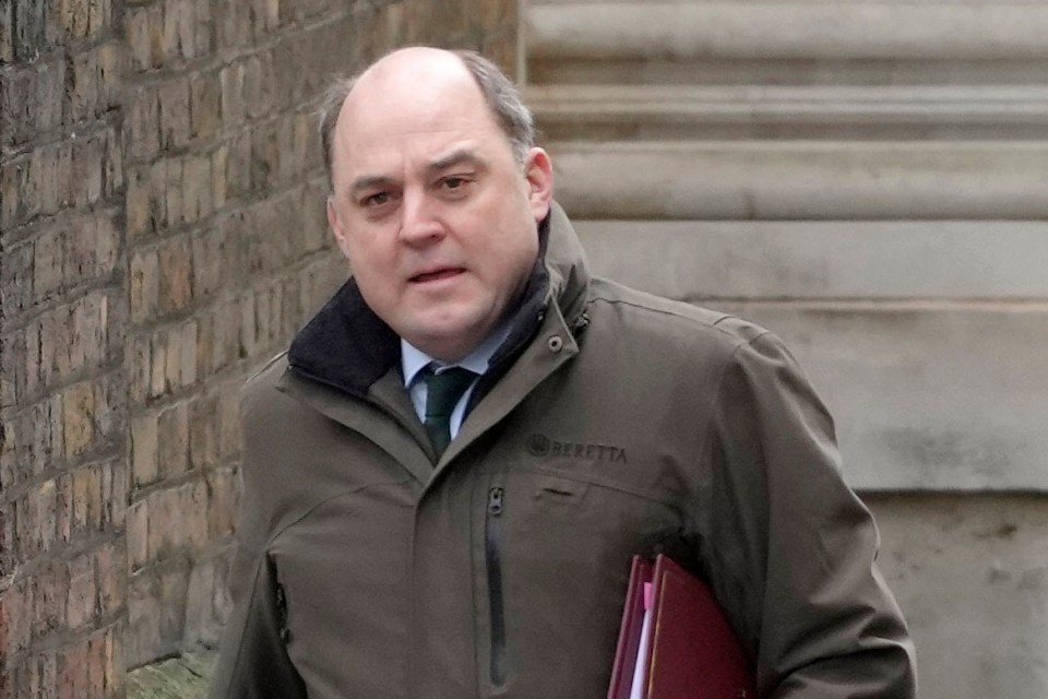 Ben Wallace, Secretary of State for Defence, arrives for a cabinet meeting at Downing Street in London