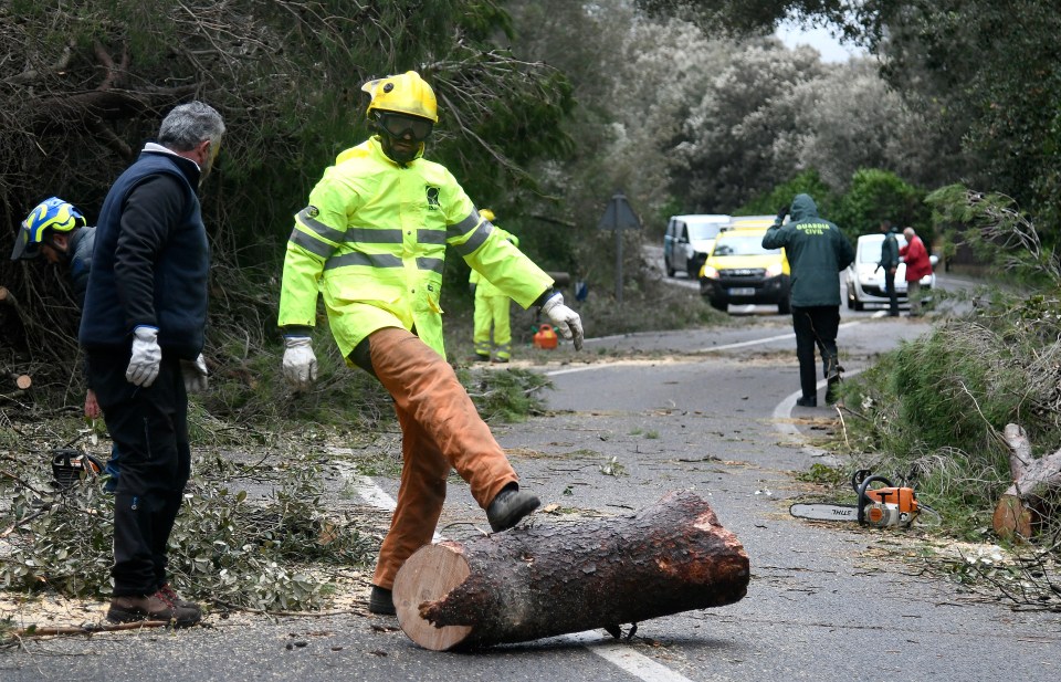 Trees have fallen on multiple roads across the region