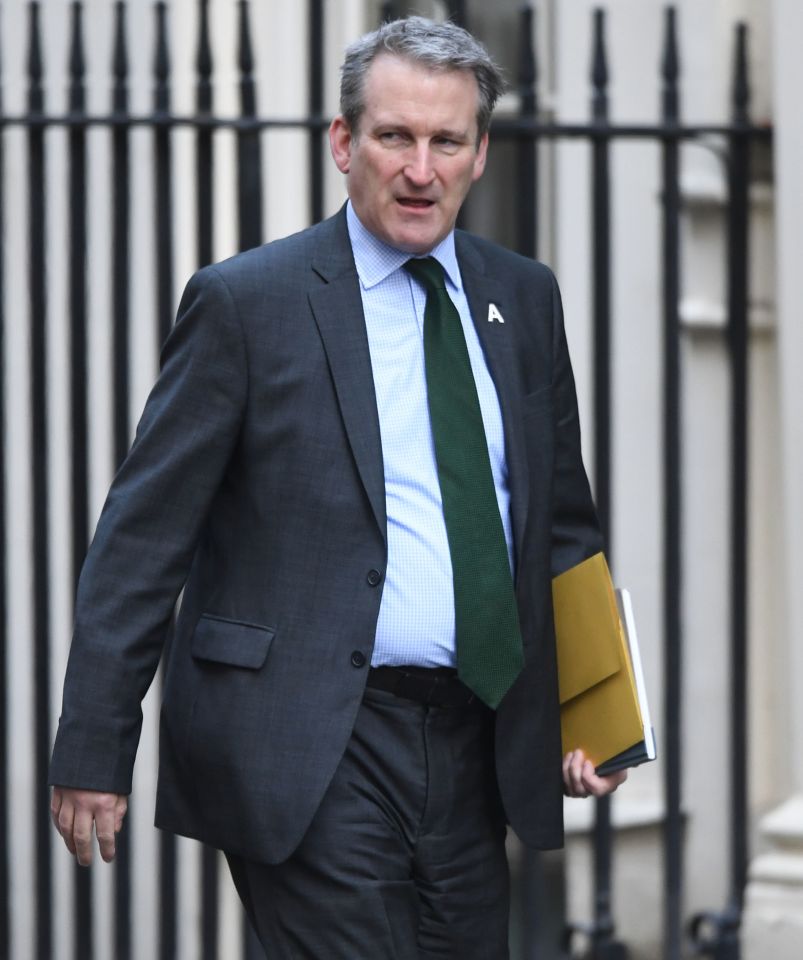 Justice minister Damian Hinds said: 'Community Payback was severely impacted by the pandemic and the resulting court backlogs'