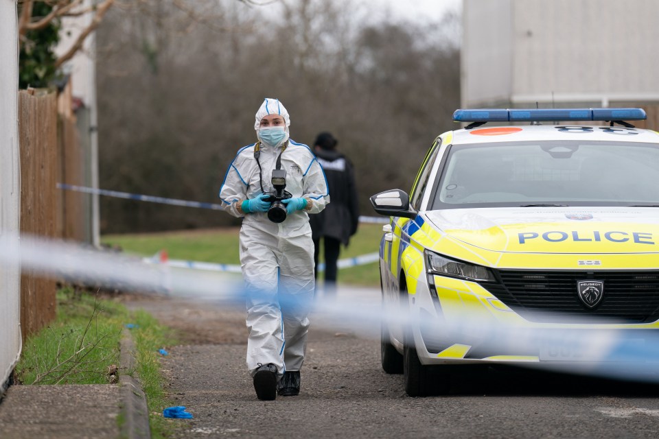 Forensic officers at the scene on Broadlands, Netherfield, Milton Keynes, Buckinghamshire