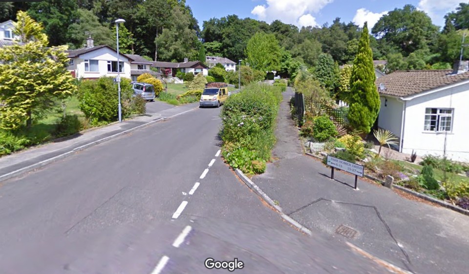 Google Street View captured the splendid hedge before it was razed