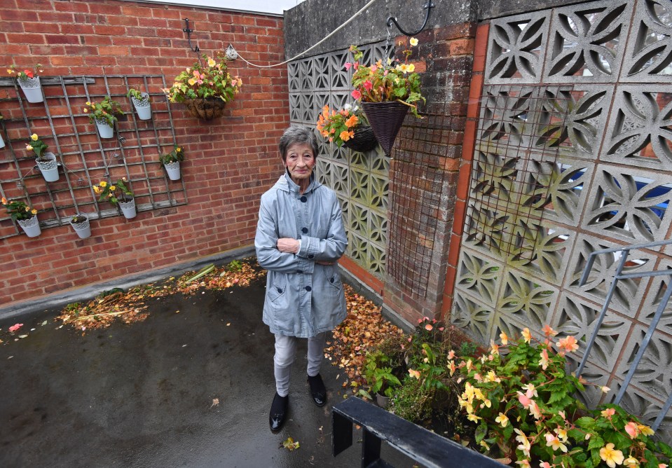 A devastated Gill Ashton stands huddled in the bleak walkway where her garden once flourished