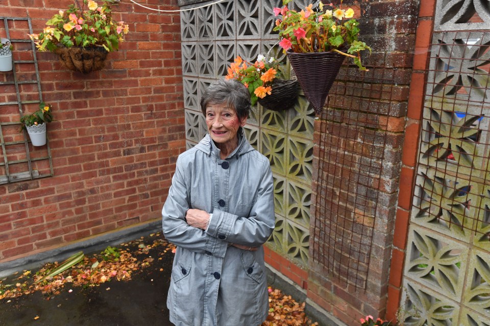 Gill's son Phil said her back garden was once as lush as the Chelsea Flower Show