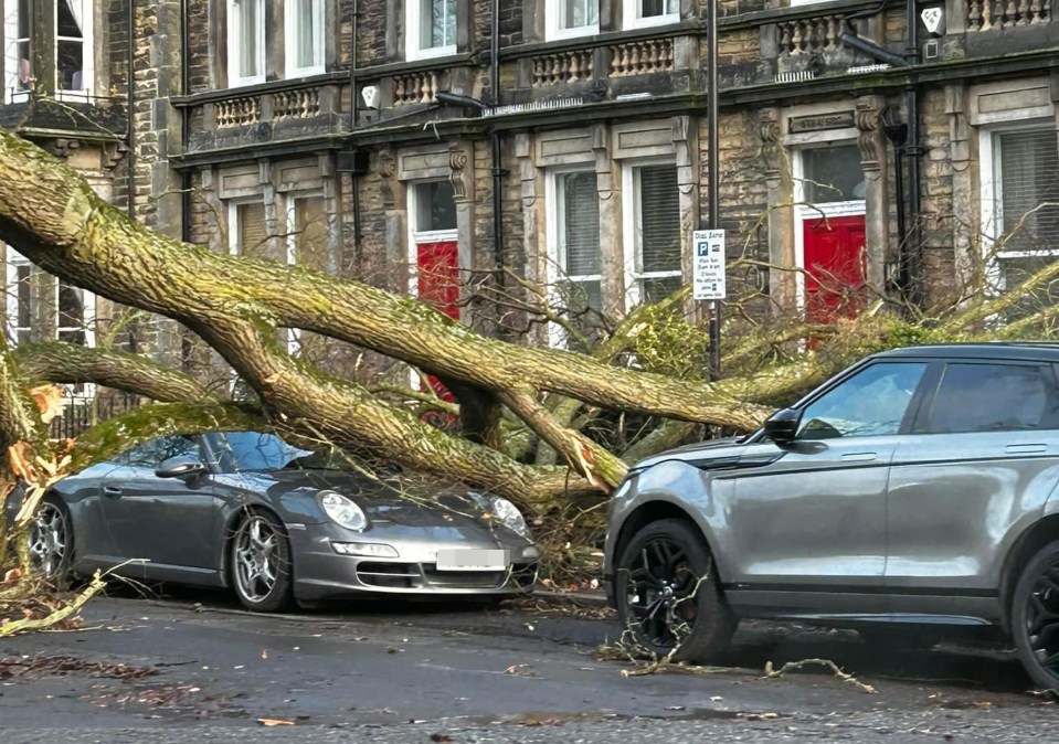 A fallen tree on a Porsche in Harrogate, North Yorkshire, as a result of storm Otto