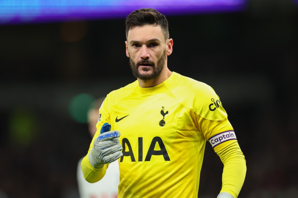 Hugo Lloris is facing up to two months out with a knee injury