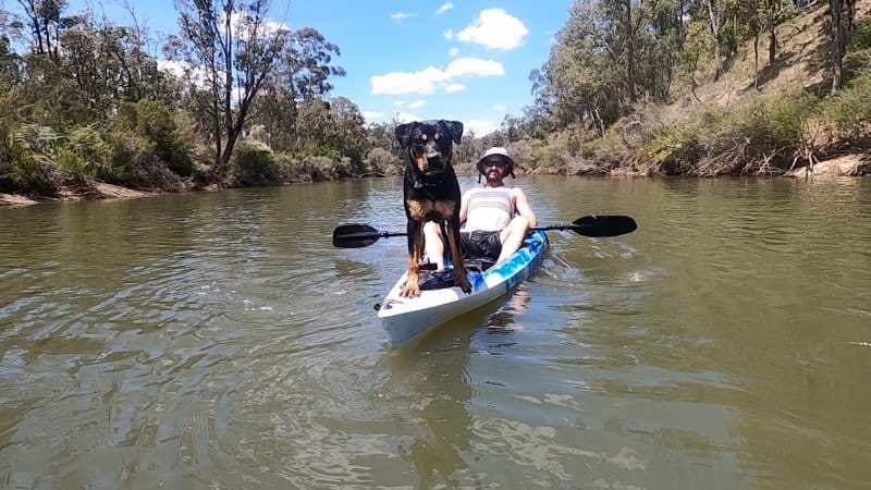 Alister and his dog were attacked  near Port Douglas