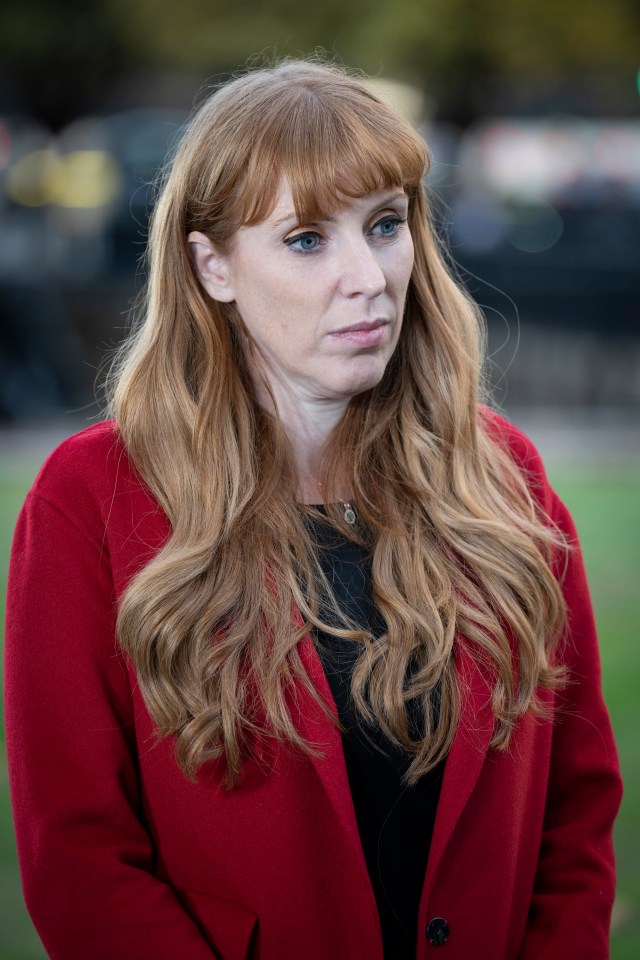 Labour deputy leader Angela Rayner was grilled by The Sunday Times about Scottish sex attacker Isla Bryson