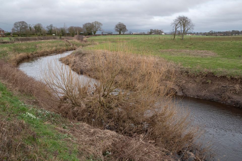 The tragic discovery was made just a mile from where the mum vanished