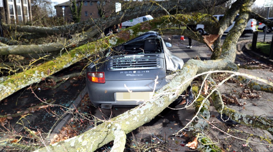 Zenya Dunne said it was her partner's Porsche that had been 'completely and utterly crushed' by the tree