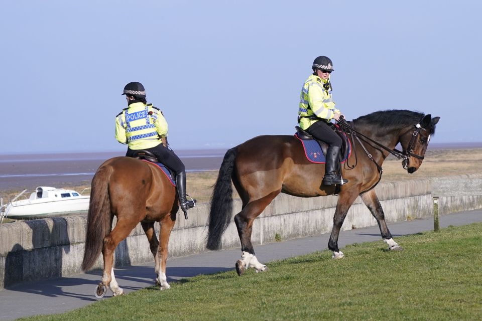 A police search is continuing with mounted officers joining the hunt