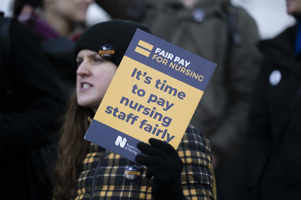 A nurse holds a placard as members of RCN (Royal College of Nursing) strike  in London on February 6