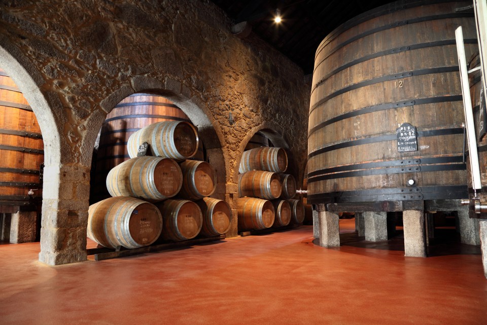 Old style wine cellars can be crammed with tens of thousands of bottles