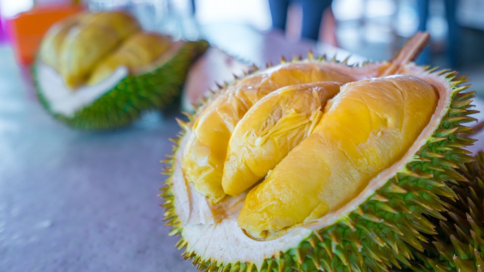 The durian is popular in Asian cuisine but is well known because of its smell