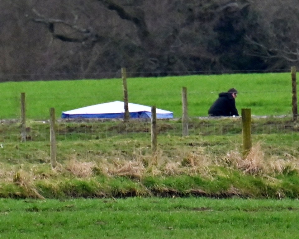 Police forensics tent , not far from St Michaels roads in area closed off