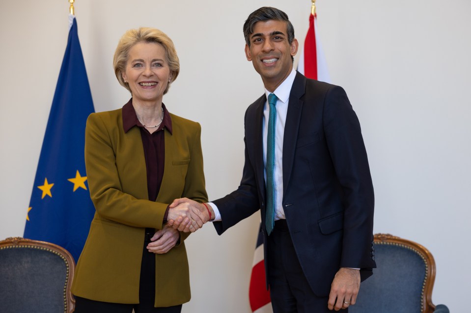 Sunak met with European Commission president Ursula von der Leyen for talks