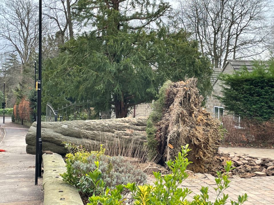 Endcliffe Vale Road, Sheffield, where a man was injured by a fallen tree