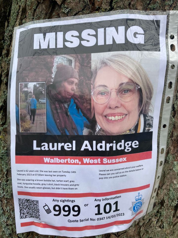 Missing posters have been put up in Walburton