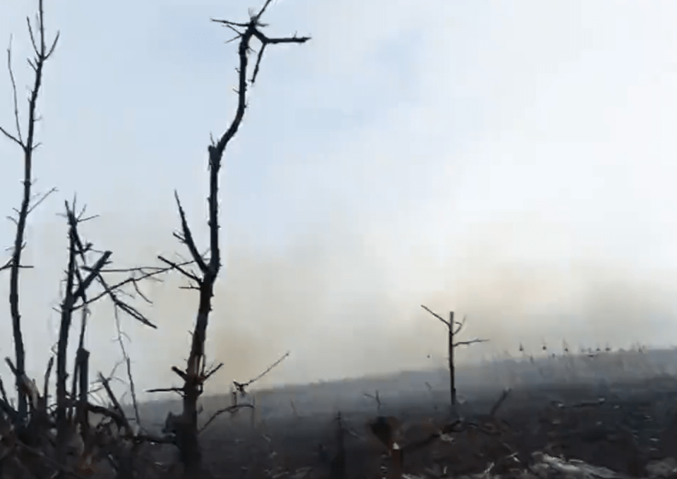 The battlefield caught in the first-person footage shows a blackened landscape